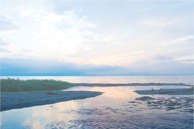 環境への取り組み