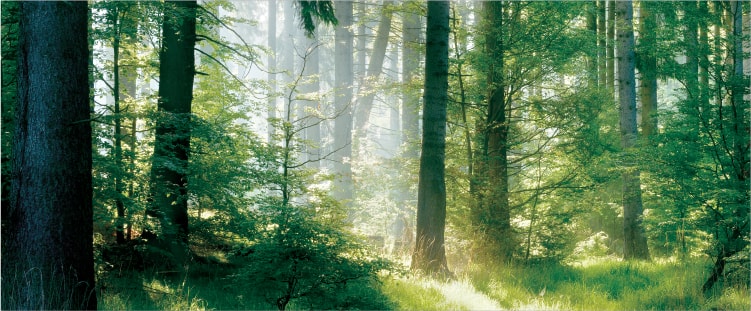 環境ソリューション