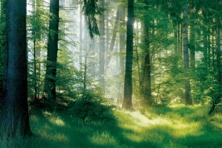 環境ソリューション